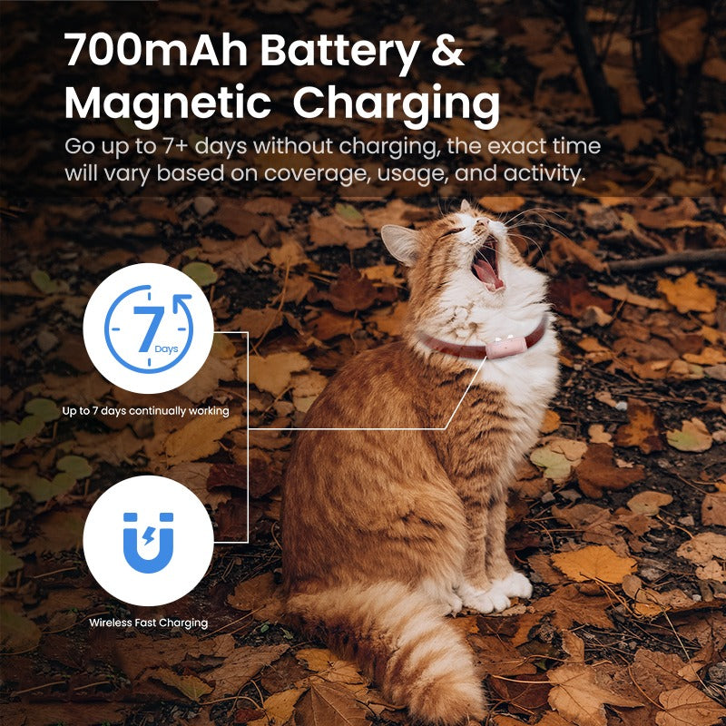 High Quality Wireless Pet Locator Pet Collar GPS Mini Pet Tracking Locator | S26L