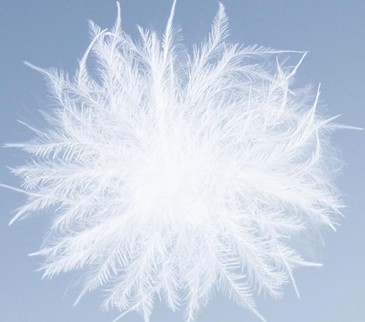 Women's 95% White Goose Down Jacket | 20000mm+ Waterproof Trekking Coat | All-Season Stormproof Hiking Outerwear | NSRF2439101