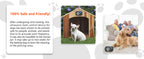 MODUS Automatic Ultrasonic Bark Deterrent New Safe Anti-Barking Device for Indoor & Outdoor Long-Range Humane Dog Trainer