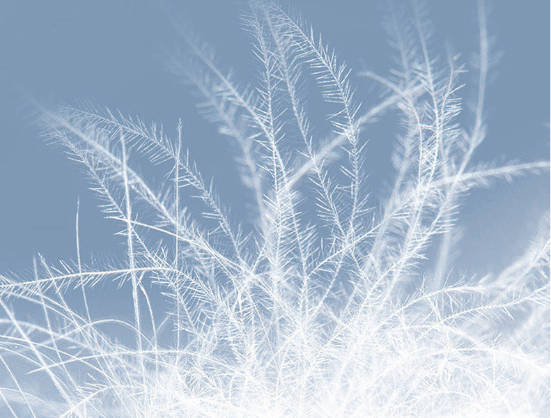 Men's Outdoor Jacket 90% Duck Down Filled Parka with Detachable Shell All-Season Waterproof Hiking Coat