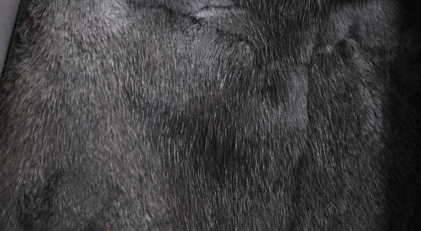 Snow Lotus Men's Mink Fur Parka | 2025 Winter Detachable Mink Lining Long Coat | Luxury Slim-Fit Fur-Trimmed Jacket | 215