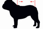 Dog Tattoo Bodysuit | Funny 4-Leg Full Body Shirt for French Bulldog, Pug, Corgi & Bully All-Season Breathable T-Shirt