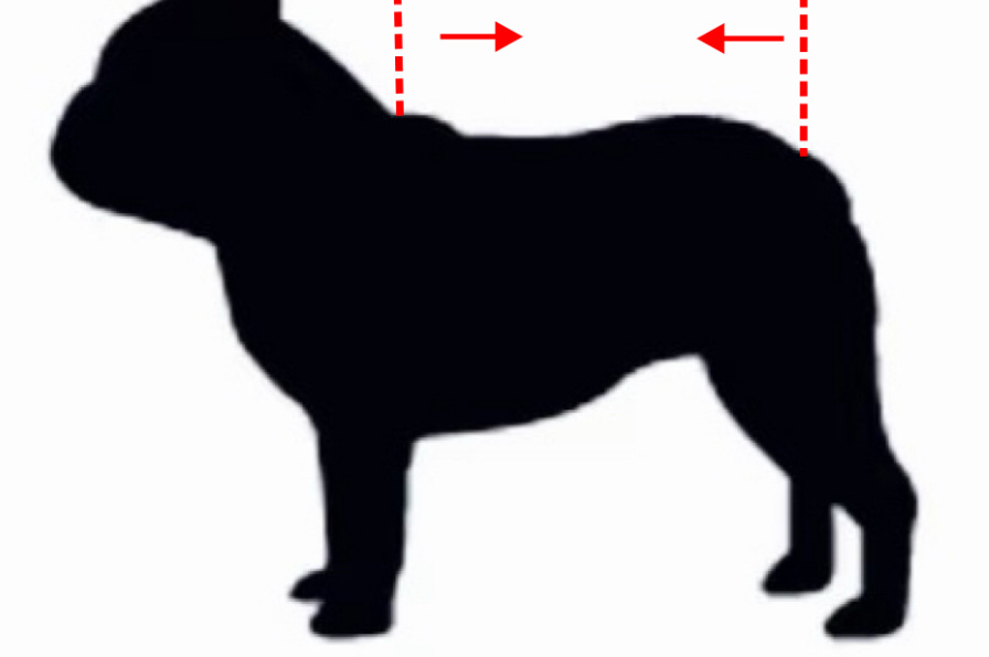 Dog Tattoo Bodysuit | Funny 4-Leg Full Body Shirt for French Bulldog, Pug, Corgi & Bully All-Season Breathable T-Shirt