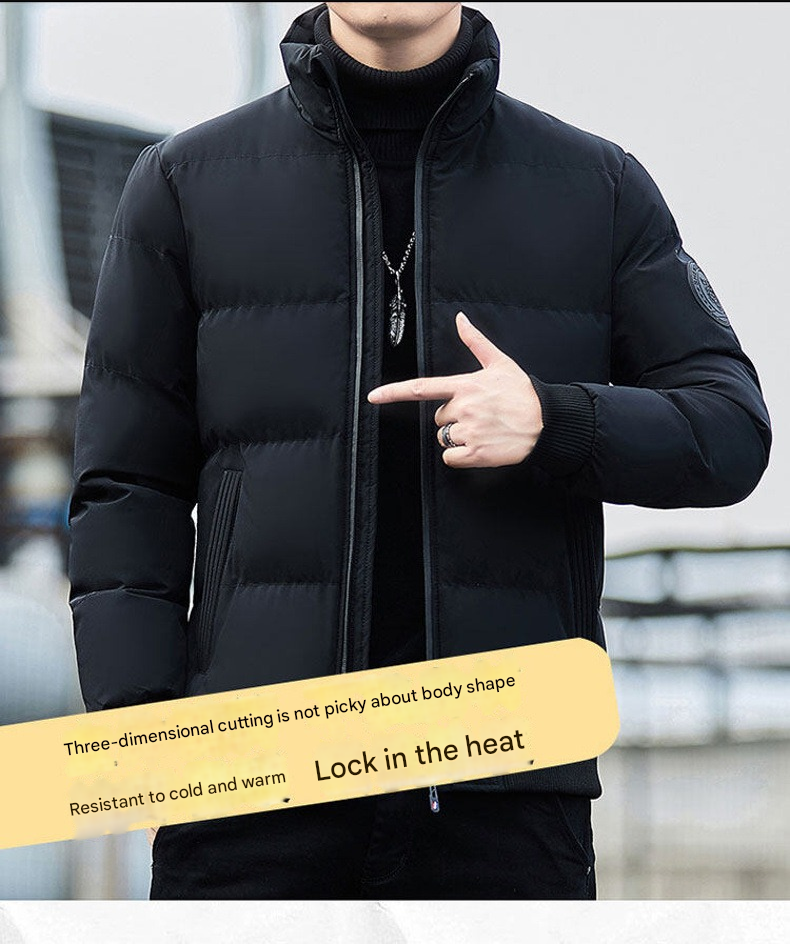 Men's Thick Winter Down Jacket – Warm Stand Collar Cotton Coat for European Winters 8668